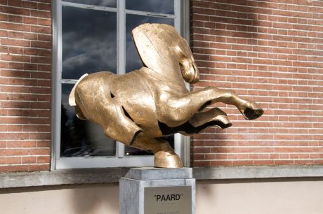 Paard