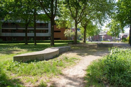 Herinnering - Ontmoeting