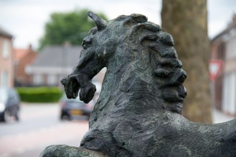 Paard