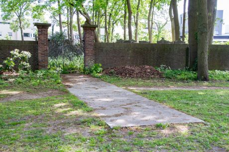 Herinnering - Ontmoeting