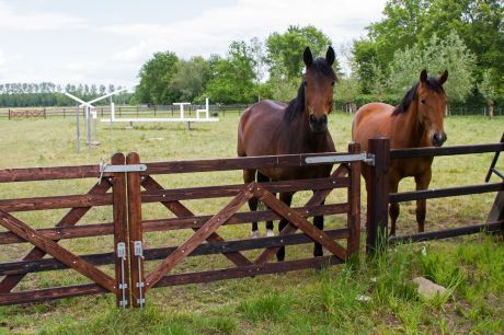 Van goot tot nok (Transformation)