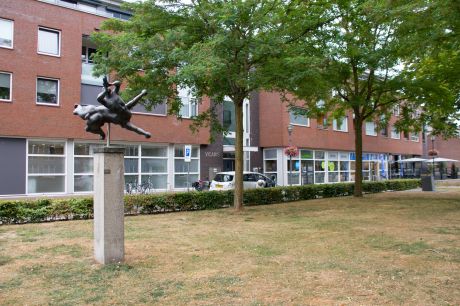 Fluitspelende centaur