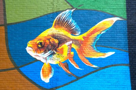 Graffitikunstwerk Kloosterkwartier Veghel